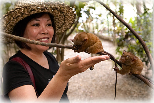 Philippines Smallest Monkey