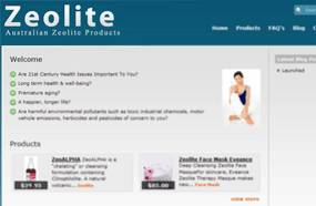 Shopify Ecommerce Website